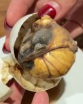 Balut Filipina