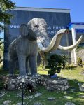 Museum Sangiran