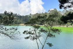 Telaga Warna
