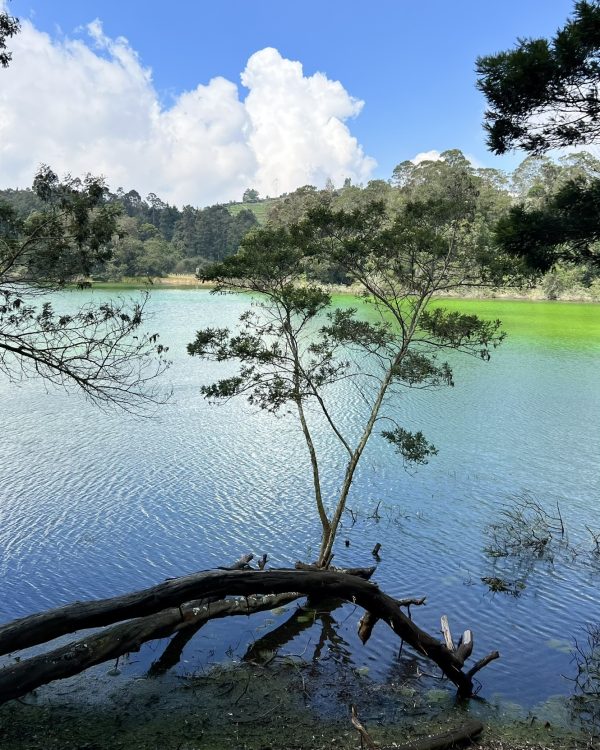 Itinerary 1 hari di Dieng – Wonosobo