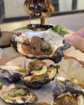 Kerang Melet Semarang